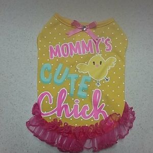 Little female dog dress